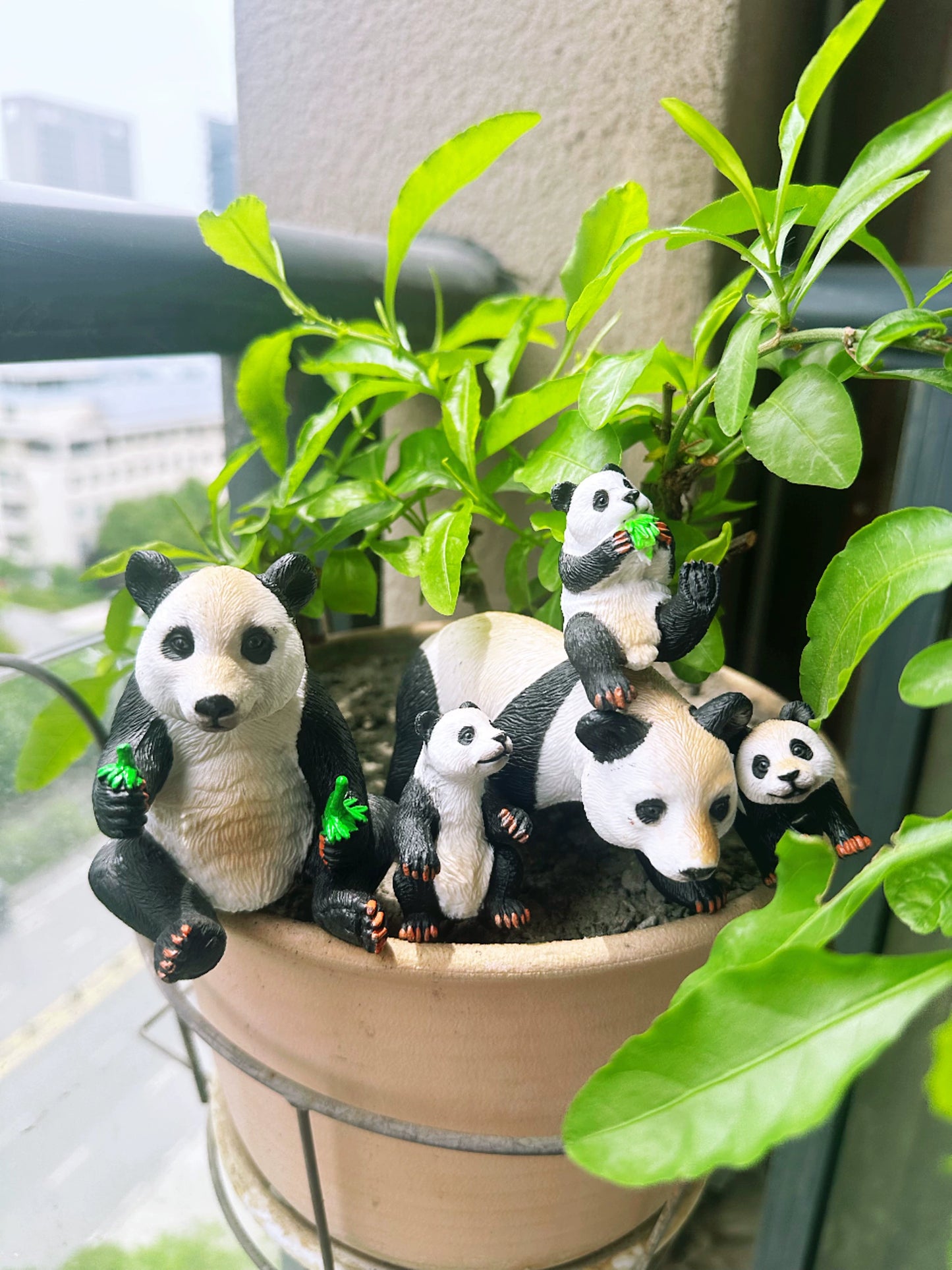 Foreign Order Children's Cognitive Toy Artificial Wild Animal Panda Scene Decoration 5-Piece Set Solid Panda