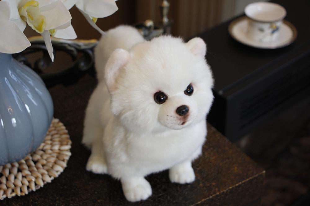 High Quality Simulation Bichon Frise Dog Plush toy Stuffed Korea Lifelike Pomeranian Dog puppy Toys Home Decor Kids brithday