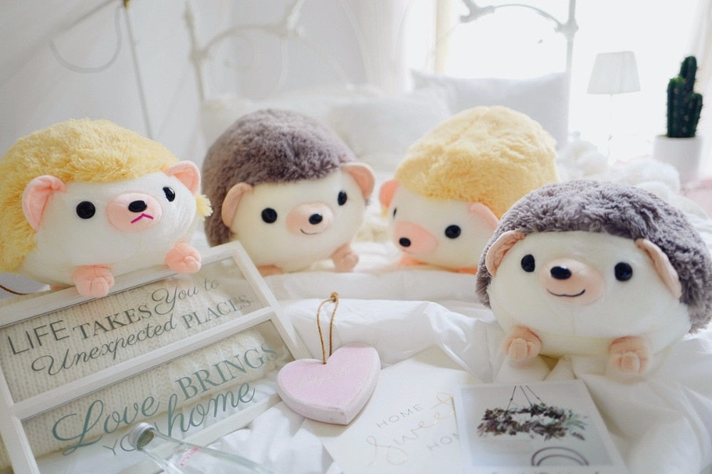 New Arrival  Cute Cartoon Plush Hedgehog Dolls Soft Cotton Stuffed kawaii Hedgehog Plush baby Toys Birthday Gifts for Kids