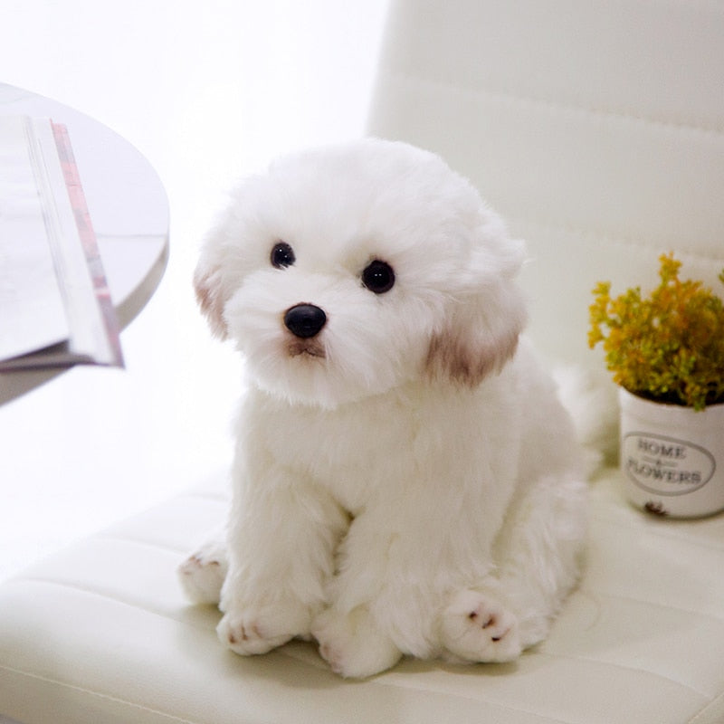 High Quality Simulation Bichon Frise Dog Plush toy Stuffed Korea Lifelike Pomeranian Dog puppy Toys Home Decor Kids brithday