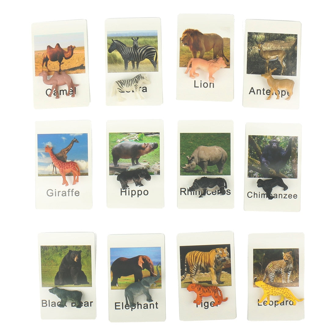 24Pcs/Set Montessori Toys for 3 Year Flash Cards Animals Matching Learning English Kids Early Educational Practical Life